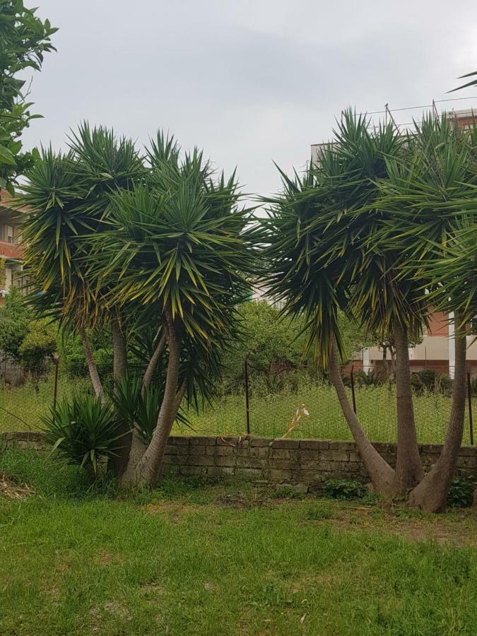 "Il Nespolo" Villa Scauri  Buitenkant foto